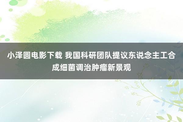 小泽圆电影下载 我国科研团队提议东说念主工合成细菌调治肿瘤新景观