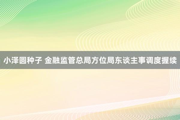 小泽圆种子 金融监管总局方位局东谈主事调度握续