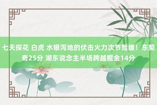 七天探花 白虎 水银泻地的伏击火力次节暂缓！东契奇25分 湖东说念主半场跨越掘金14分