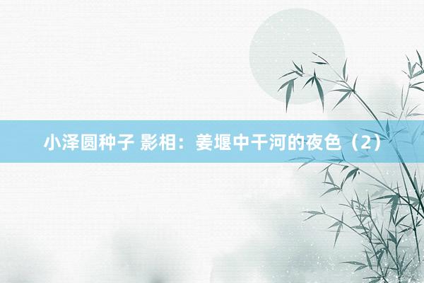 小泽圆种子 影相：姜堰中干河的夜色（2）