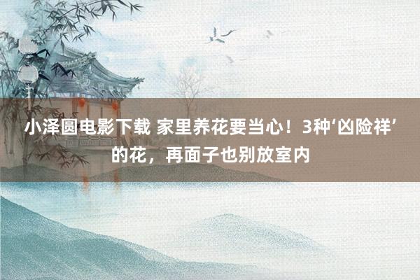 小泽圆电影下载 家里养花要当心！3种‘凶险祥’的花，再面子也别放室内