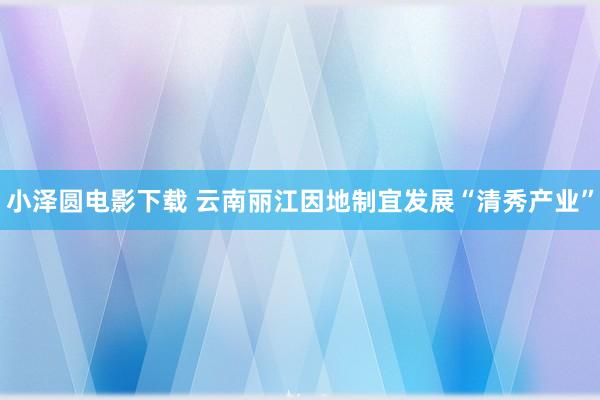 小泽圆电影下载 云南丽江因地制宜发展“清秀产业”