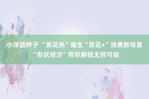小泽圆种子 “赏花热”催生“赏花+”消费新场景 “形状经济”带你解锁无穷可能