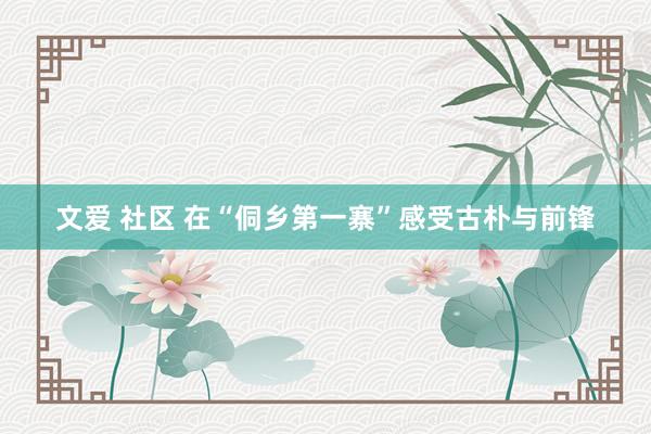 文爱 社区 在“侗乡第一寨”感受古朴与前锋