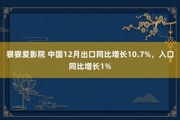 狠狠爱影院 中国12月出口同比增长10.7%，入口同比增长1%