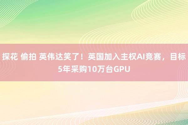 探花 偷拍 英伟达笑了！英国加入主权AI竞赛，目标5年采购10万台GPU