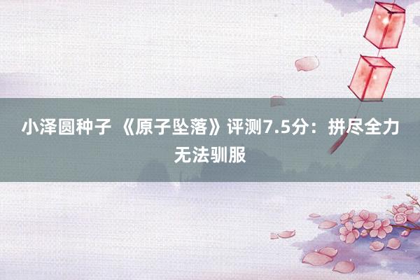 小泽圆种子 《原子坠落》评测7.5分：拼尽全力无法驯服