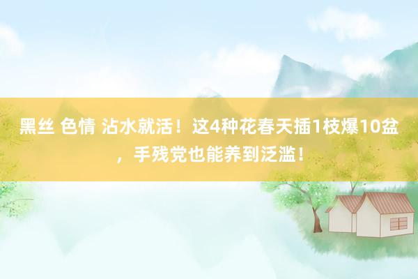 黑丝 色情 沾水就活！这4种花春天插1枝爆10盆，手残党也能养到泛滥！