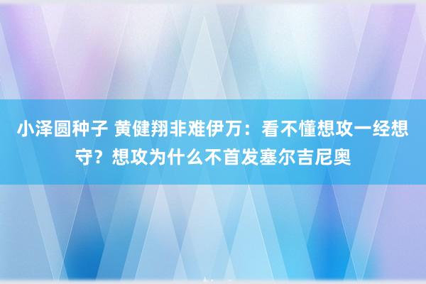 小泽圆种子 黄健翔非难伊万：看不懂想攻一经想守？想攻为什么不首发塞尔吉尼奥