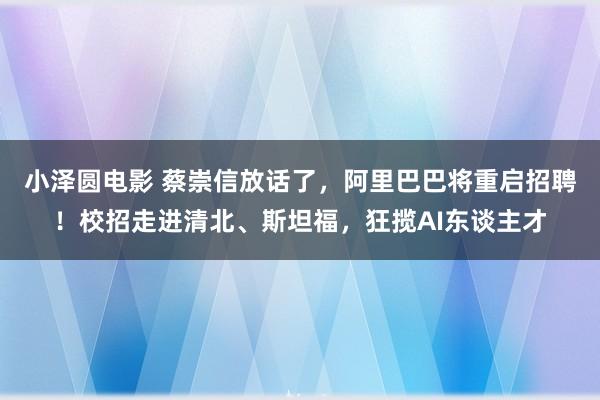 小泽圆电影 蔡崇信放话了，阿里巴巴将重启招聘！校招走进清北、斯坦福，狂揽AI东谈主才