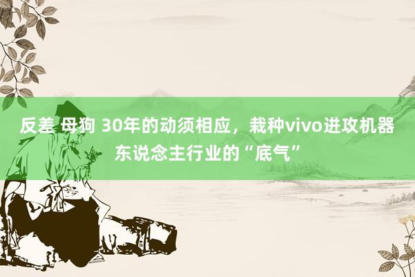 反差 母狗 30年的动须相应，栽种vivo进攻机器东说念主行业的“底气”