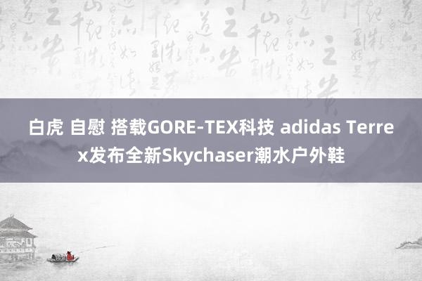 白虎 自慰 搭载GORE-TEX科技 adidas Terrex发布全新Skychaser潮水户外鞋