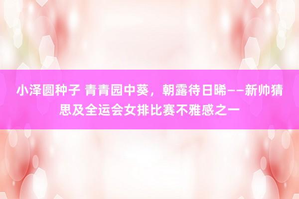 小泽圆种子 青青园中葵，朝露待日晞——新帅猜思及全运会女排比赛不雅感之一