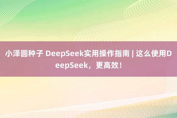 小泽圆种子 DeepSeek实用操作指南 | 这么使用DeepSeek，更高效！