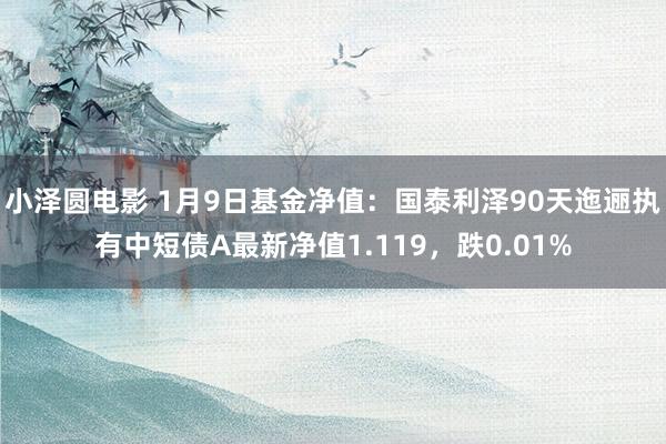 小泽圆电影 1月9日基金净值：国泰利泽90天迤逦执有中短债A最新净值1.119，跌0.01%