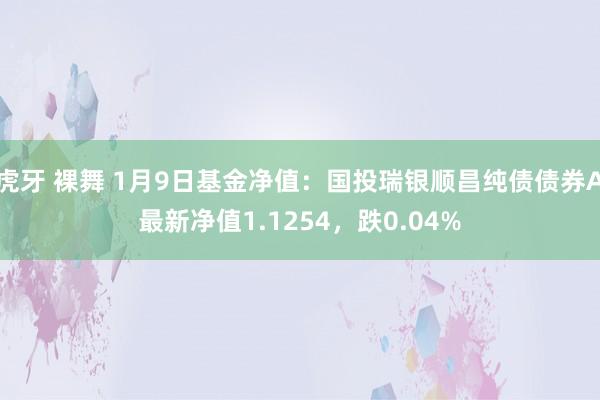 虎牙 裸舞 1月9日基金净值：国投瑞银顺昌纯债债券A最新净值1.1254，跌0.04%