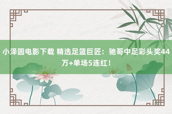 小泽圆电影下载 精选足篮巨匠：驰哥中足彩头奖44万+单场5连红！