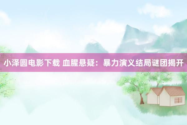 小泽圆电影下载 血腥悬疑：暴力演义结局谜团揭开