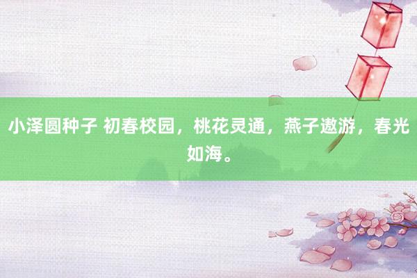 小泽圆种子 初春校园，桃花灵通，燕子遨游，春光如海。