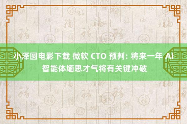 小泽圆电影下载 微软 CTO 预判: 将来一年 AI 智能体缅思才气将有关键冲破