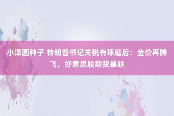 小泽圆种子 特朗普书记关税有琢磨后：金价再腾飞，好意思股期货暴跌