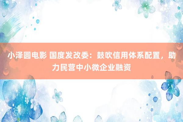 小泽圆电影 国度发改委：鼓吹信用体系配置，助力民营中小微企业融资