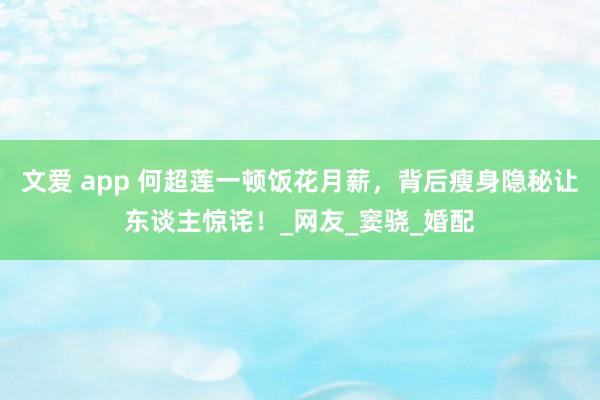 文爱 app 何超莲一顿饭花月薪，背后瘦身隐秘让东谈主惊诧！_网友_窦骁_婚配