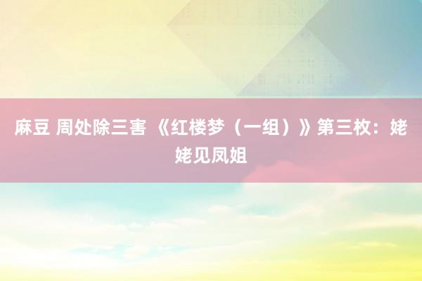 麻豆 周处除三害 《红楼梦（一组）》第三枚：姥姥见凤姐