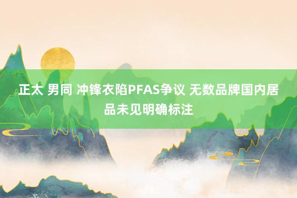 正太 男同 冲锋衣陷PFAS争议 无数品牌国内居品未见明确标注