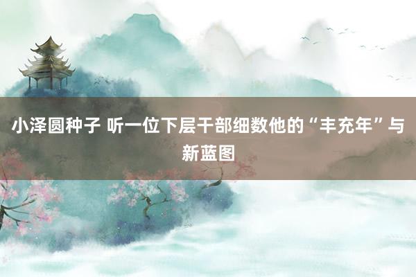 小泽圆种子 听一位下层干部细数他的“丰充年”与新蓝图