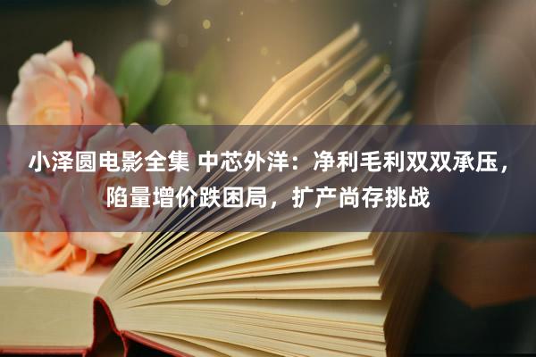 小泽圆电影全集 中芯外洋：净利毛利双双承压，陷量增价跌困局，扩产尚存挑战