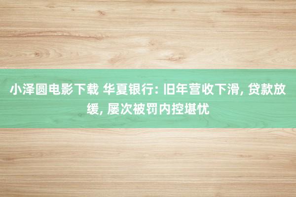 小泽圆电影下载 华夏银行: 旧年营收下滑, 贷款放缓, 屡次被罚内控堪忧