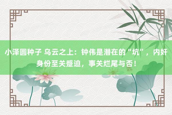 小泽圆种子 乌云之上：钟伟是潜在的“坑”，内奸身份至关蹙迫，事关烂尾与否！