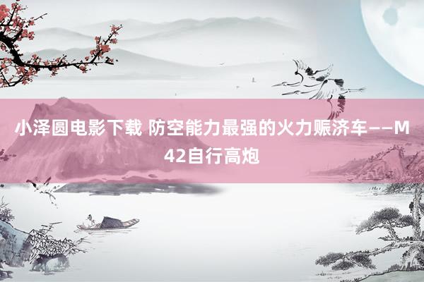 小泽圆电影下载 防空能力最强的火力赈济车——M42自行高炮