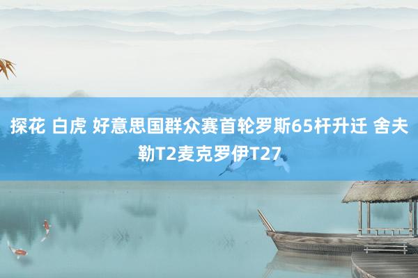 探花 白虎 好意思国群众赛首轮罗斯65杆升迁 舍夫勒T2麦克罗伊T27