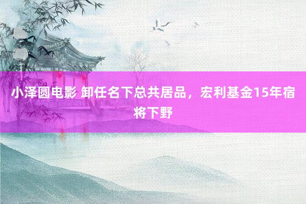 小泽圆电影 卸任名下总共居品，宏利基金15年宿将下野