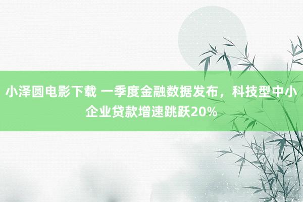 小泽圆电影下载 一季度金融数据发布，科技型中小企业贷款增速跳跃20%