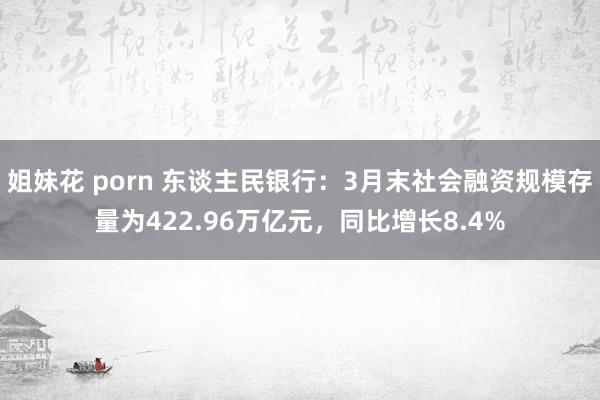 姐妹花 porn 东谈主民银行：3月末社会融资规模存量为422.96万亿元，同比增长8.4%