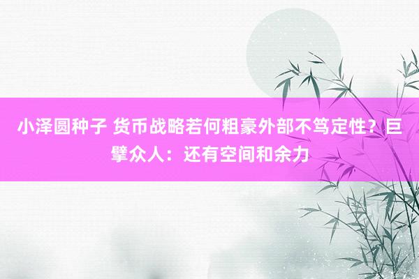 小泽圆种子 货币战略若何粗豪外部不笃定性？巨擘众人：还有空间和余力