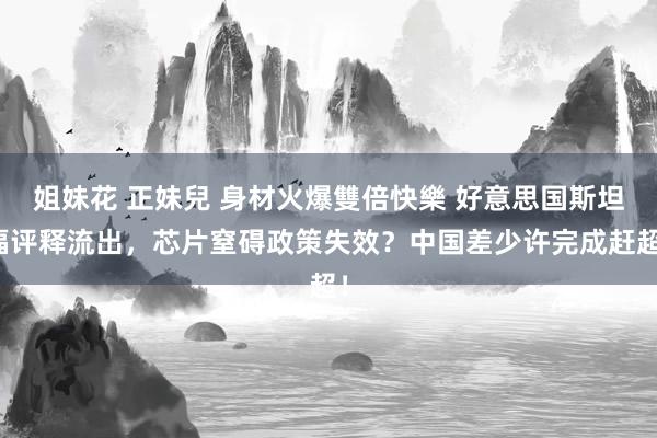 姐妹花 正妹兒 身材火爆雙倍快樂 好意思国斯坦福评释流出，芯片窒碍政策失效？中国差少许完成赶超！
