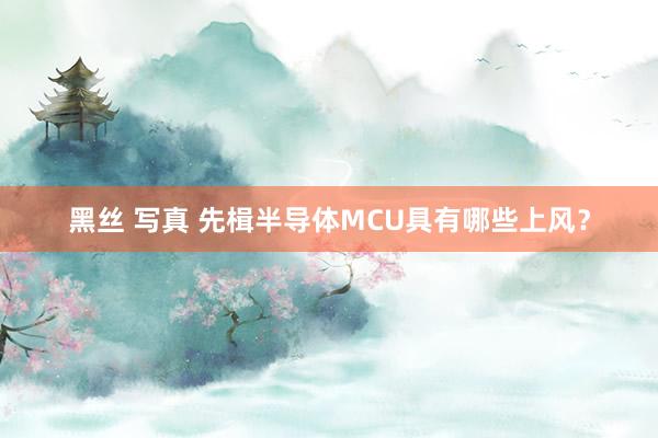 黑丝 写真 先楫半导体MCU具有哪些上风？