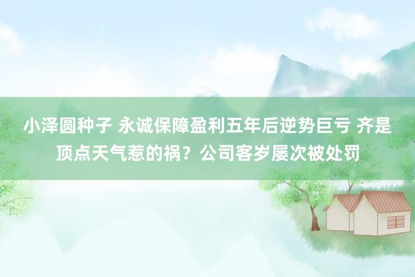 小泽圆种子 永诚保障盈利五年后逆势巨亏 齐是顶点天气惹的祸？公司客岁屡次被处罚