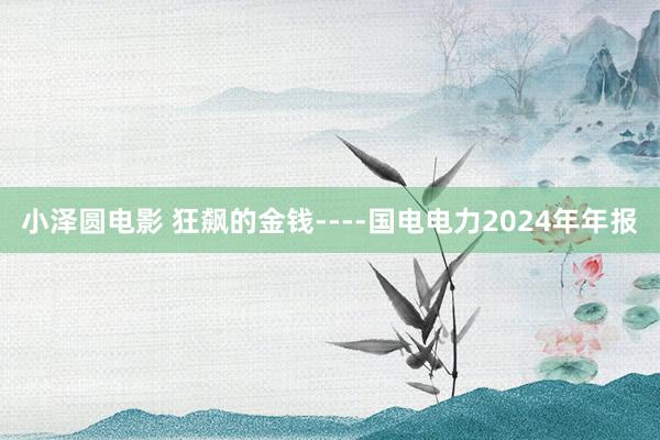 小泽圆电影 狂飙的金钱----国电电力2024年年报