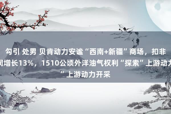 勾引 处男 贝肯动力安谧“西南+新疆”商场，扣非净利润增长13%，1510公顷外洋油气权利“探索”上游动力开采