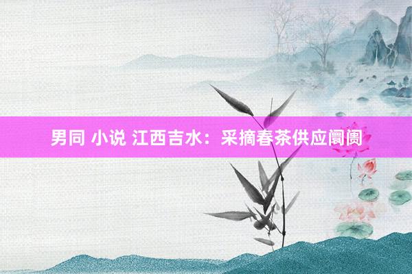 男同 小说 江西吉水：采摘春茶供应阛阓