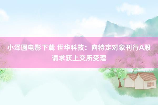 小泽圆电影下载 世华科技：向特定对象刊行A股请求获上交所受理