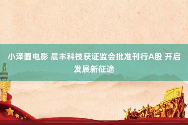 小泽圆电影 晨丰科技获证监会批准刊行A股 开启发展新征途