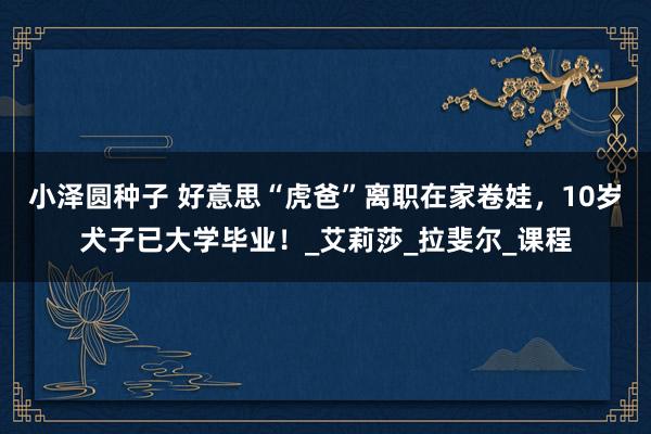 小泽圆种子 好意思“虎爸”离职在家卷娃，10岁犬子已大学毕业！_艾莉莎_拉斐尔_课程