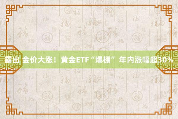 露出 金价大涨！黄金ETF“爆棚” 年内涨幅超30%