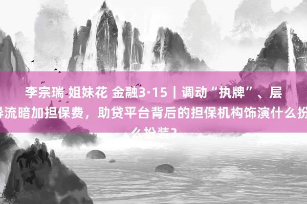 李宗瑞 姐妹花 金融3·15｜调动“执牌”、层层导流暗加担保费，助贷平台背后的担保机构饰演什么扮装？